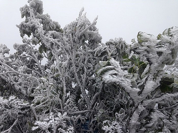 Mau son mountain witnesses 2 degrees celsius amid first cold spell hitting the northern region of vietnam